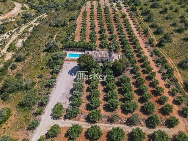 Quinta com produção de azeite Lagoa/Algarve/Portugal 0m² Lagoa e Carvoeiro