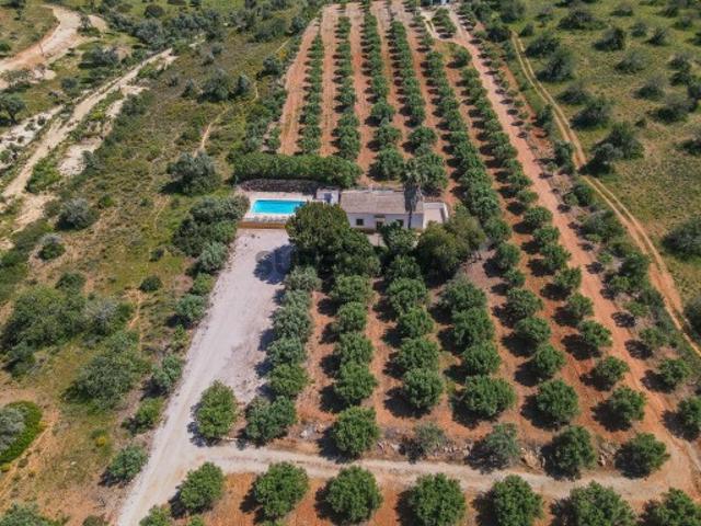 Quinta com produção de azeite Lagoa/Algarve/Portugal