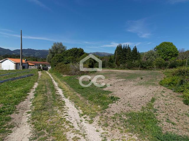 Quinta com Produção de mirtilo e framboesa em Requeixo Póvoa de Lanhoso