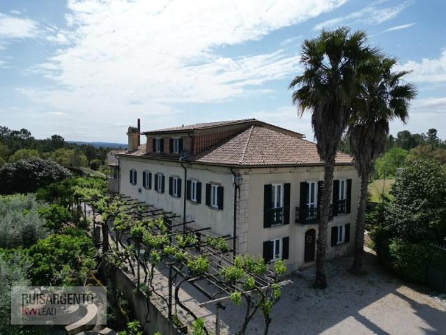 Quinta com Produção de Vinho, Alojamento Local, Boutique Hotel, Restaurante em Cernache do Bom Jardim