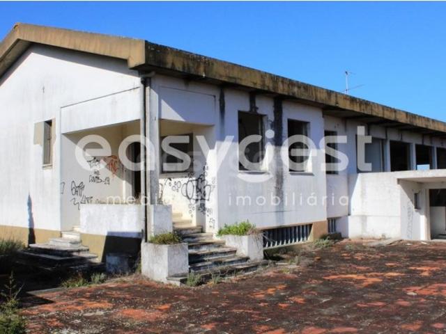 Quinta com projeto de recuperação e vista para a cidade de Abrantes