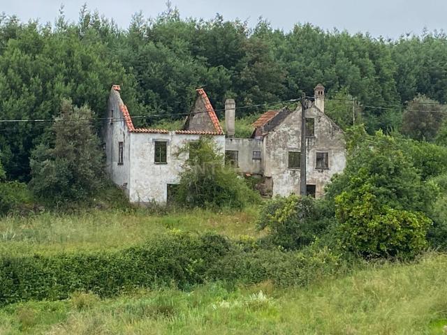 Quinta com Ruína Oportunidade de Negócio 283m² Covas e vila nova de oliveirinha