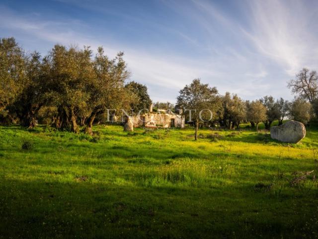 Quinta com ruína em Montemor o Novo