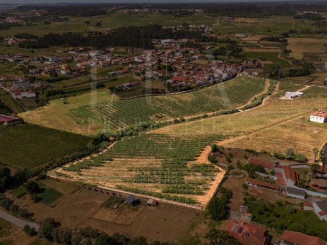 Quinta | São Lourenço do Bairro, Anadia