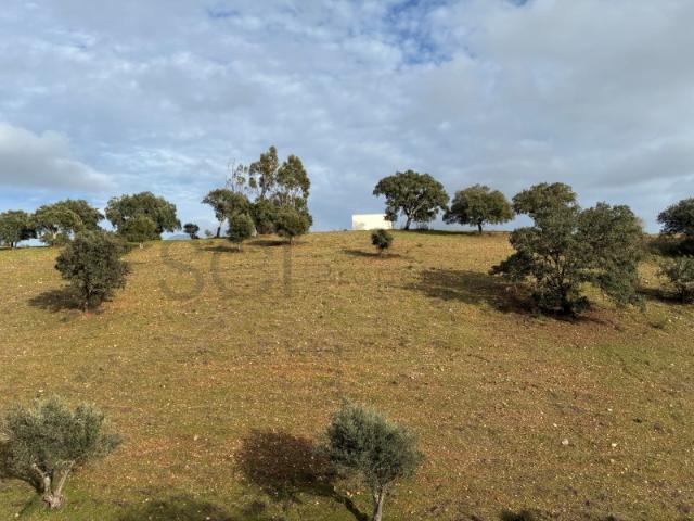 Quinta com ribeiro em Vila Nova de S. Bento no Alentejo.