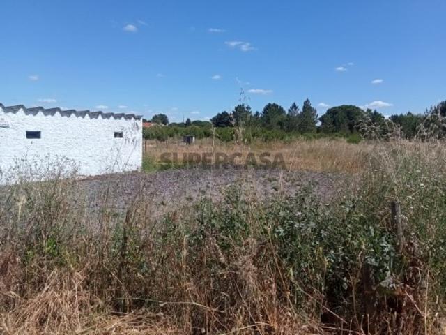 Quinta com terreno e armazém, área 6.000m2