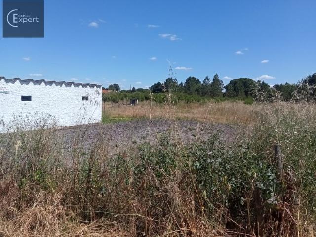 Quinta com terreno e armazém, área 6.000m2