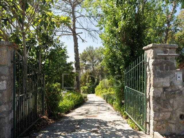 Quinta com terreno, em Sintra
