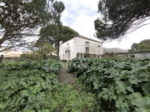 Quinta com terreno em zona de construção Darque