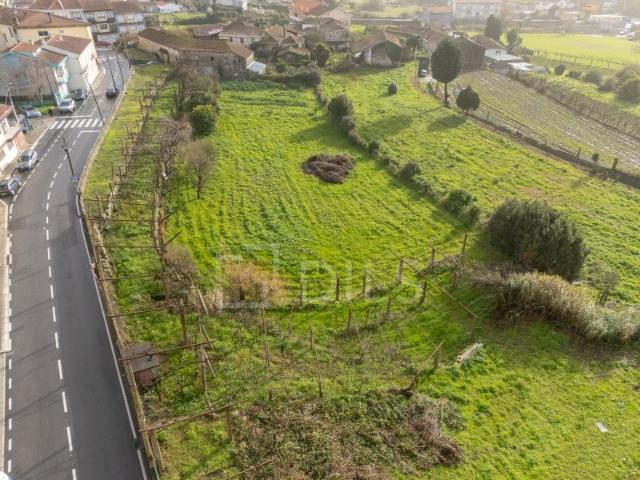 Quinta com terreno, para recuperação, em Santegãos
