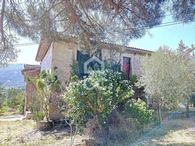 Quinta com uma área de 65496.5 m2