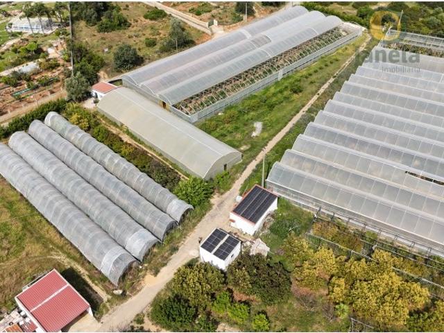 Quinta com uma área total de 4 ha, duas habitações com 300 m2, com estufas e equipamentos