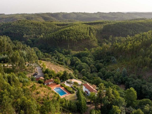 Quinta com Vinha e Casas de Hóspedes em Pedrógão Grande 595m² Pedrógão Grande