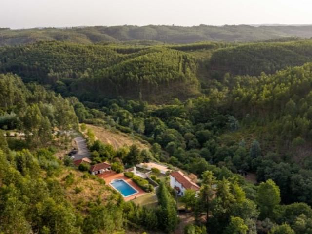 Quinta com Vinha e Casas de Hóspedes em Pedrógão Grande