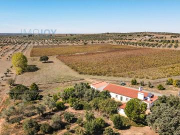 Avis, Concelho de Avis, Distrito de Portalegre