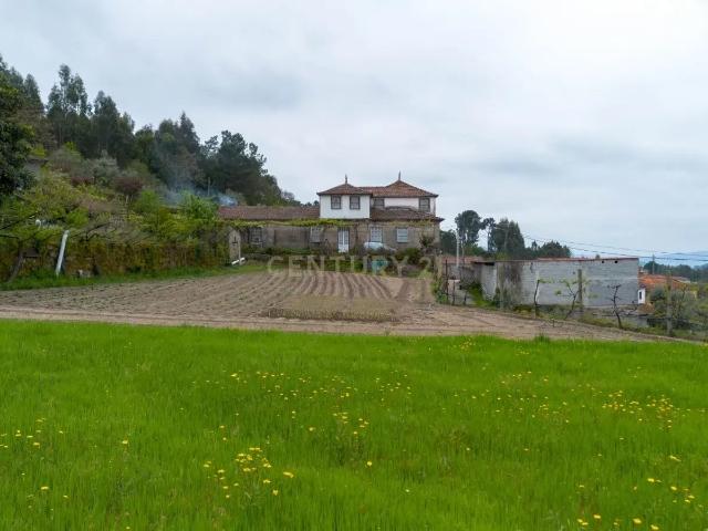 Quinta no Douro 2.7 hectares, e uma construção de traça antiga c340m² Marco de Canaveses