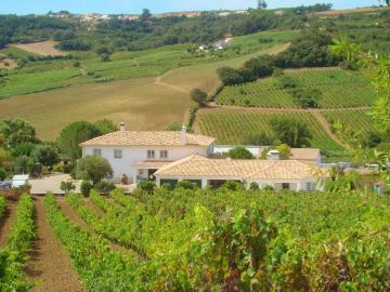 Quinta com Vinha junto a Alenquer 0m² Carregado e cadafais