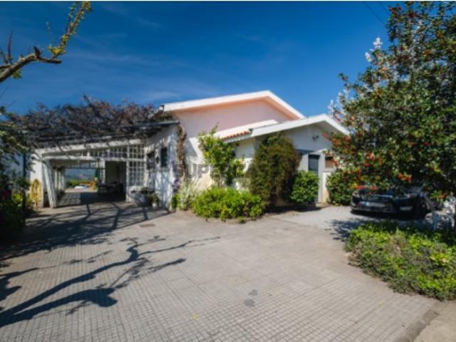 Quinta T4 com Vinhas e Oliveiras, em Santa Marta de Penaguião Douro