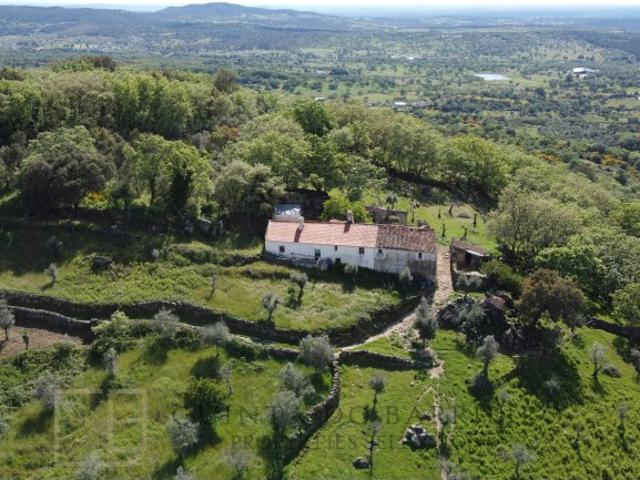 Quinta com vista desafogada para o verde da Serra de São Mamede