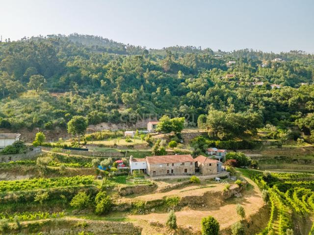 Quinta com Vista Deslumbrante sobre o Rio Douro – Projeto Aprovado para Hotel Rural | Paços de Gaiolo