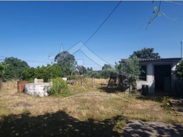 Quinta com 14700 m2 com poço, casa rural na área urbana de Alcains