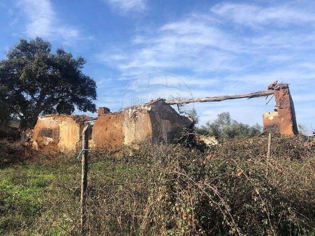 Quinta com 14,6 ha com duas ruínas, três poços, electricidade, toda vedada,com árvores de fruto, oliveiras, sobreiral e prado natural