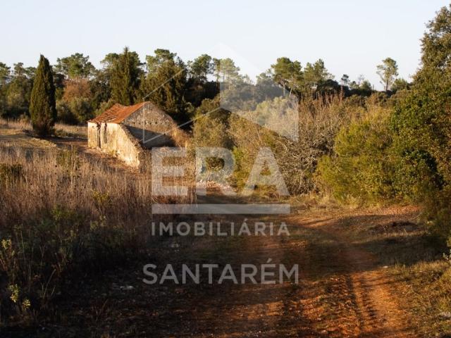 Quinta com 14.754 m2 para Reconstruir
