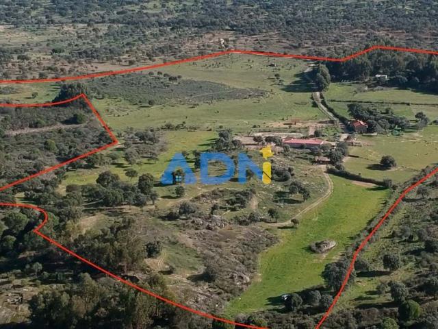 Quinta com 14,875 ha para venda