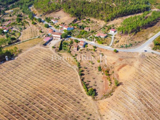 Quinta com 15 hectares de Olival e casa para recuperar em Mação