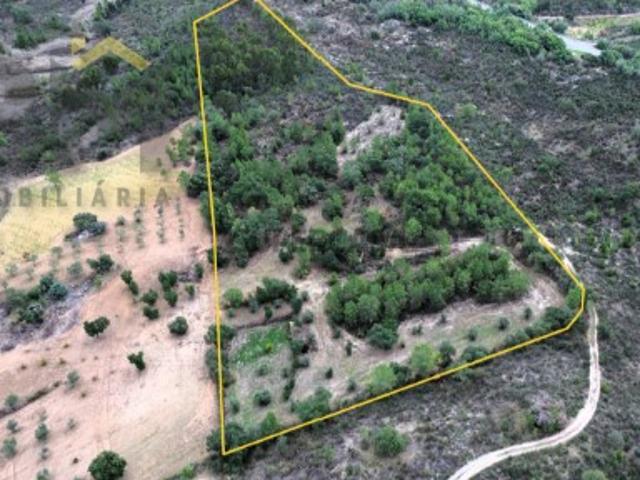 Quinta com 18.000m2 para venda em Freixial do Campo!