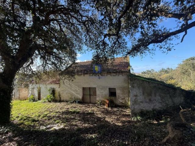 Quinta com 18.960 m² | Vinha Produtiva | Projeto Aprovado | Usseira Óbidos