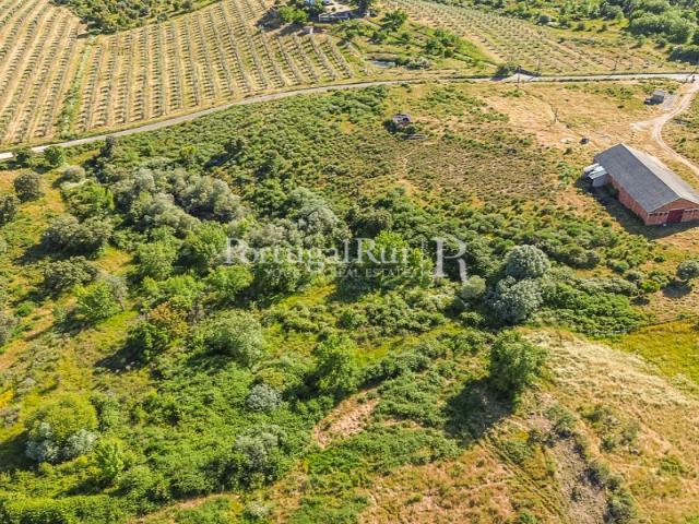 Quinta com 19,6 hectares ideal para projetos agroflorestais
