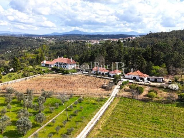 Quinta de 3,6ha com Casa Senhorial, Vinhas e Olival