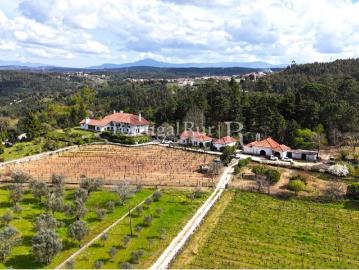 Quinta de 3,6ha com Casa Senhorial, Vinhas e Olival