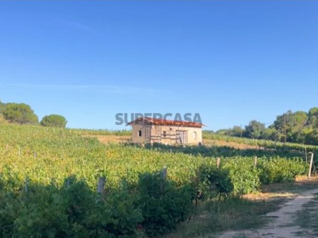 Quinta com 10,6 hectares em Pernes, Santarém Vinha, Olival
