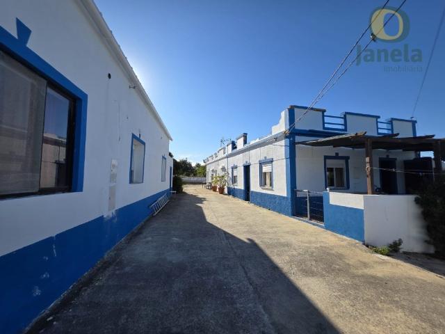 Quinta com 11800 m2, com 3 habitações e diversa cultura 262m² Pechão