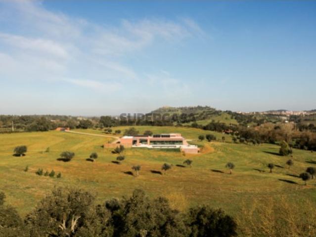 Quinta com 11,5ha, 2 moradias, em Montemor o Novo 1 hora de Lisboa