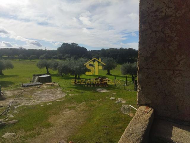 Quinta com 12ha em Castelo Branco