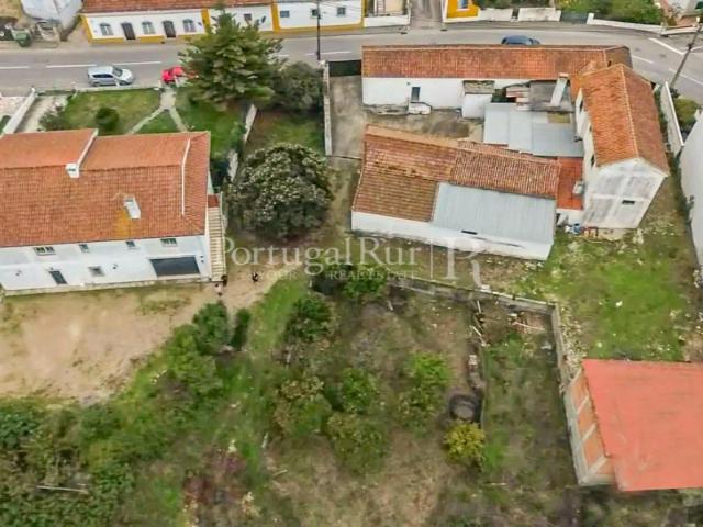 Quinta com 13.000 m² e 3 Moradias no Cartaxo, Póvoa da Isenta