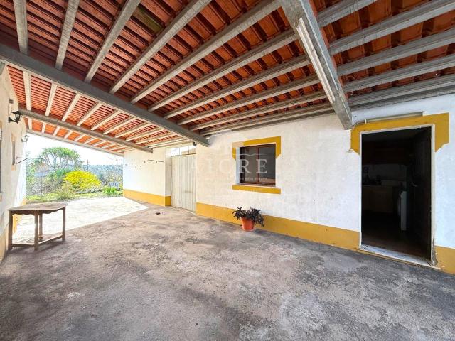 Quinta com 1,025 Hectares – Azaruja, Alentejo | Excelente Oportunidade de Investimento