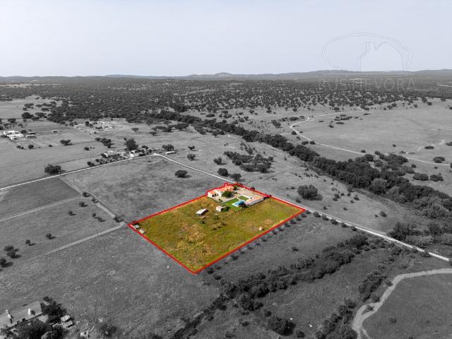 Quinta com 1 ha, com moradia T4 + 1 pronta a habitar, piscin. 175m² São Miguel De Machede