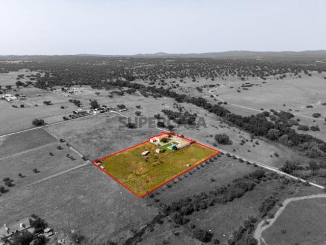 Quinta com 1 ha, com moradia T4 + 1 pronta a habitar, piscina e anexos