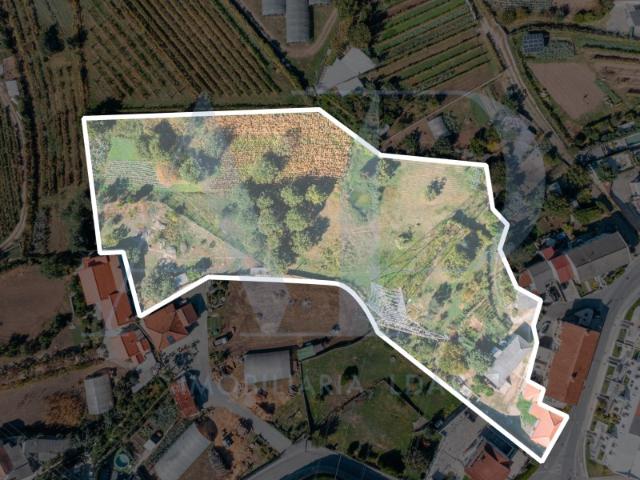 Quinta com 1 hectare e casas em pedra para restauro Guimarães