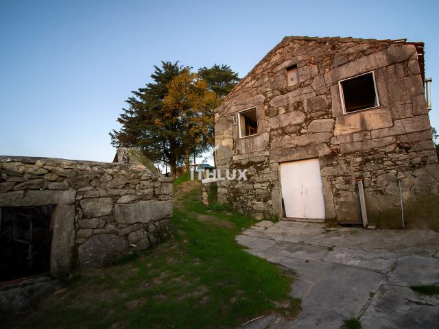 Quinta com 1ha, Cunha Alta, Mangualde
