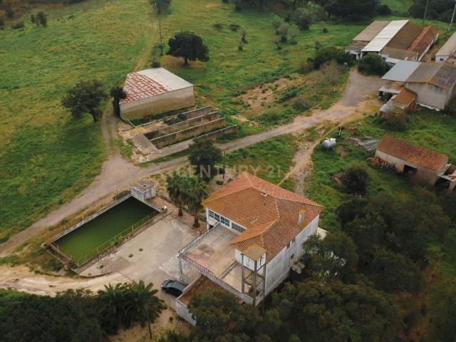 Quinta com 24 hectares no centro de Santarém – Excelente opo. 360m² Póvoa da isenta