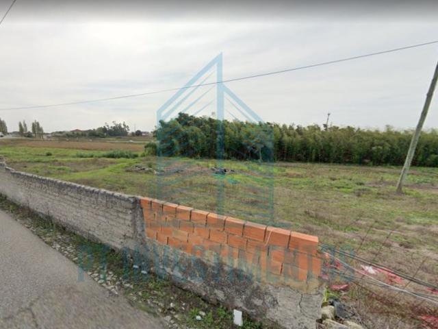 QUINTA COM 24.000m² EM ARADAS AVEIRO