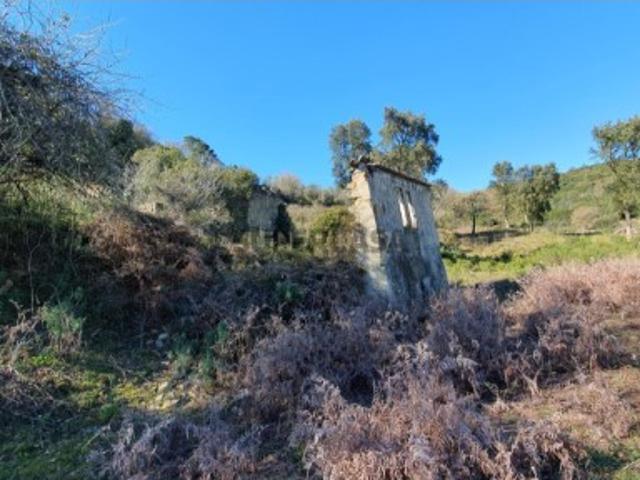 Quinta com 24.560m2 | Arruda dos Vinhos