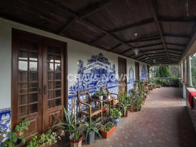 Quinta com 25 hectares venda c/ produção vinho verde pouco m. m² Santo Tirso, Couto São Miguel e Santa Catarina e Burgães