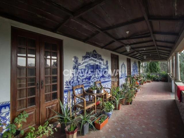 Quinta com 25 hectares venda c/ produção vinho verde pouco minutos do Porto