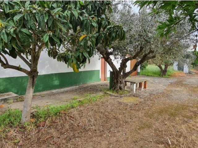 Quinta com 25.000 m2 em Reguengos de Monsaraz